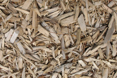 biomass boilers Llugwy