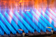Llugwy gas fired boilers